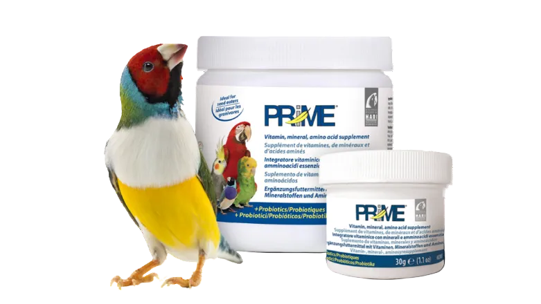 Birds Vitamins