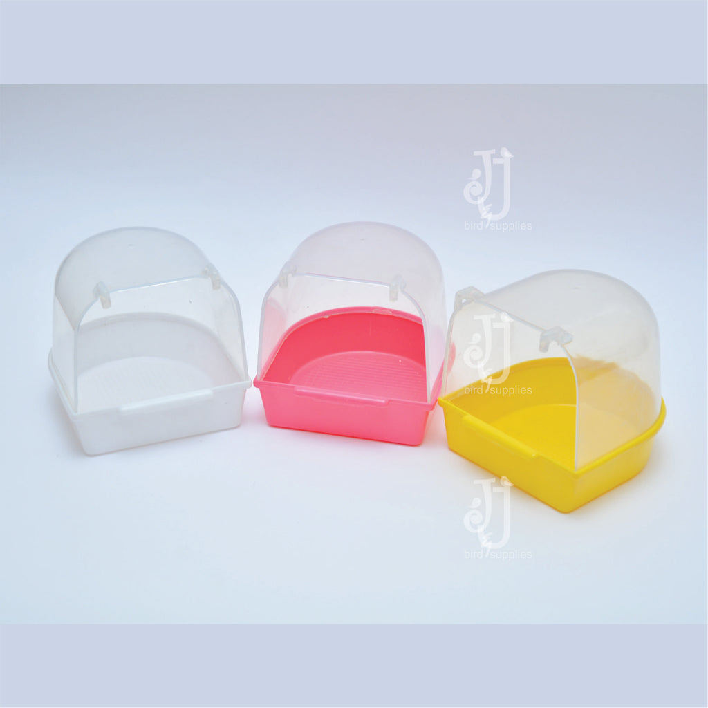 Bird Bath