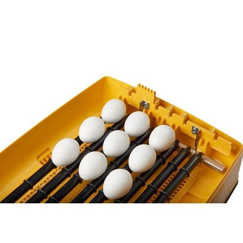 Ovation 28 Zoologica Exotic egg incubator
