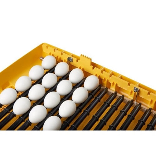 Ovation 56 Zoologica Exotic egg incubator