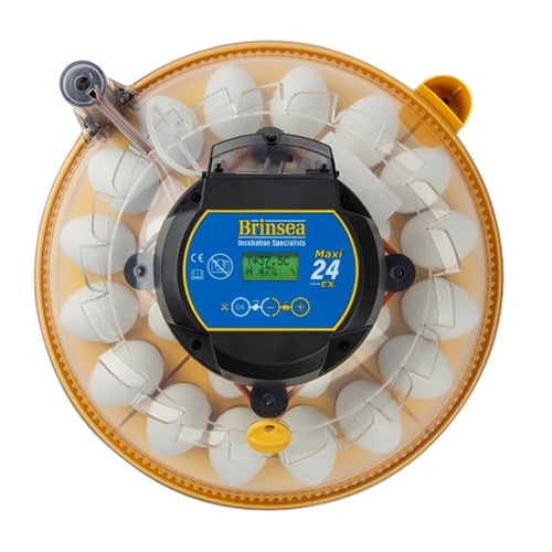 Maxi 24 EX fully automatic 24 egg incubator