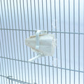 Cuttlefish Bone Holder (imported)
