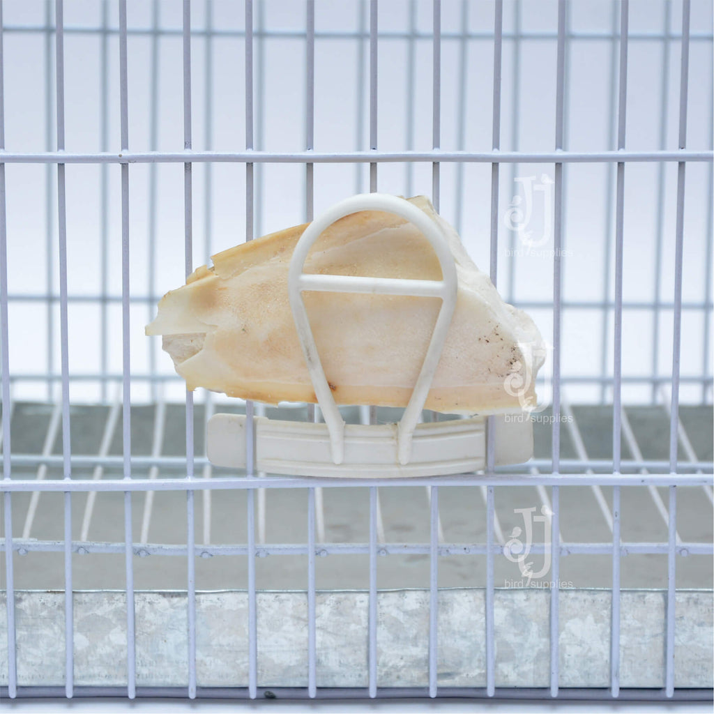 cuttle fish bone holder