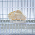 cuttle fish bone holder