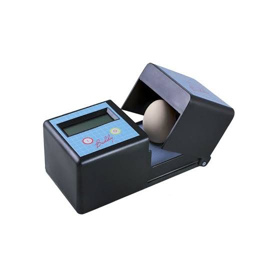 Digital Egg Monitor "BUDDY"