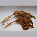 french Millet Spray Red (500g)