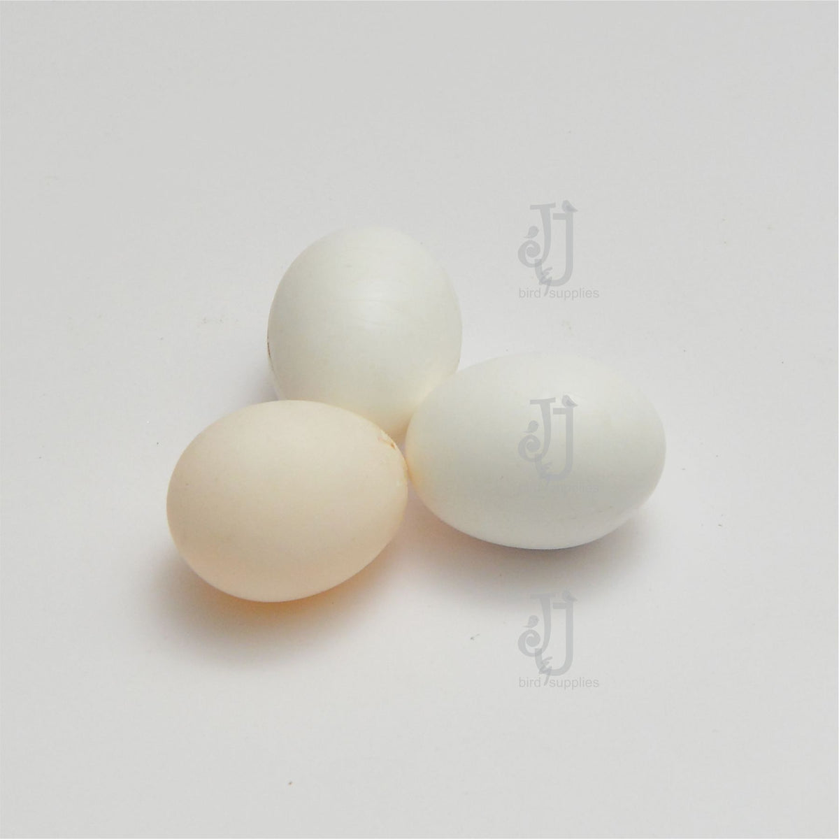 Parrot Dummy Eggs.