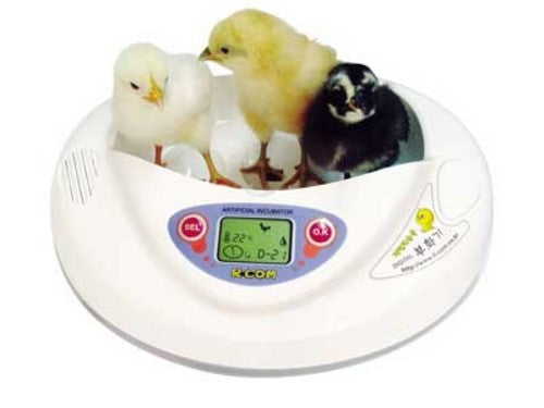 Rcom Pro Mini Incubator with 7 eggs tray