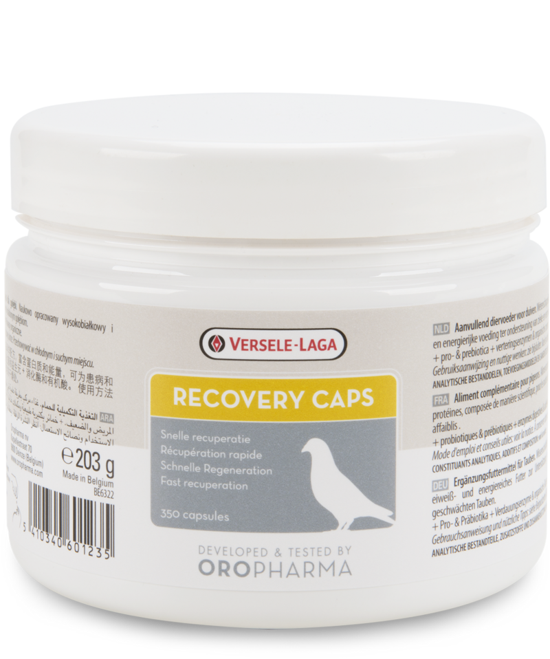 RECOVERY CAPS 350 caps