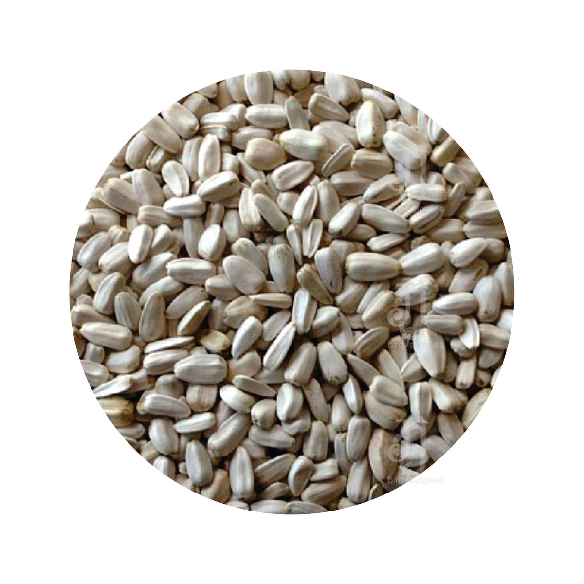 white sunflower seeds for cockatiels 1kg