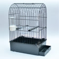 Display Cage (Italian)